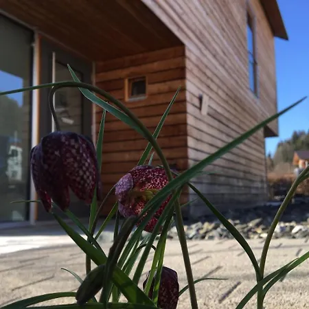Gästewohnung Zum Atelier Apartment Immenstadt im Allgäu