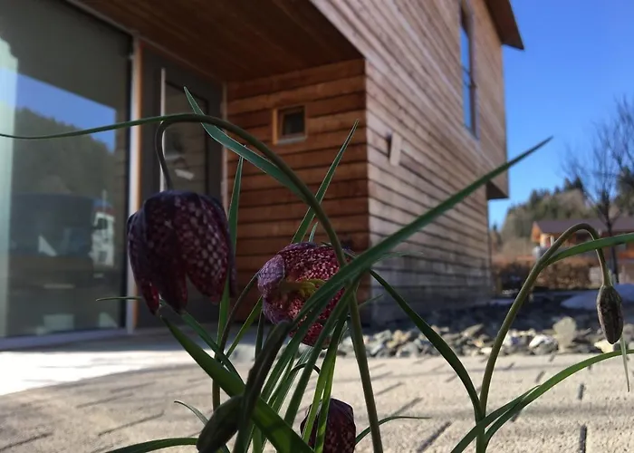 Gaestewohnung Zum Atelier Apartament Immenstadt im Allgäu